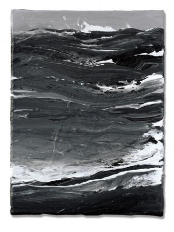 Werner Knaupp, Westmännerinseln 24.2.2010